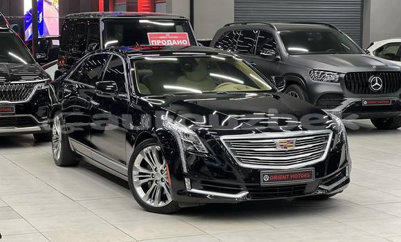 Buy Used Cadillac CT6 Black Car in Asaka in Andijon Buy Used Cadillac CT6 Black Car in Asaka in Andijon