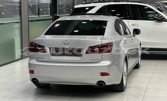 Buy Used Lexus IS White Car in Asaka in Andijon Buy Used Lexus IS White Car in Asaka in Andijon