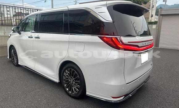 Buy Used Lexus LC White Car in Beskent in Kaskadar Buy Used Lexus LC White Car in Beskent in Kaskadar