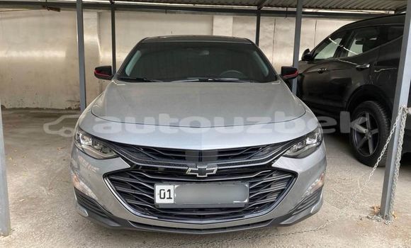 Buy Used Marlin Sportster Other Car in Asaka in Andijon Buy Used Marlin Sportster Other Car in Asaka in Andijon