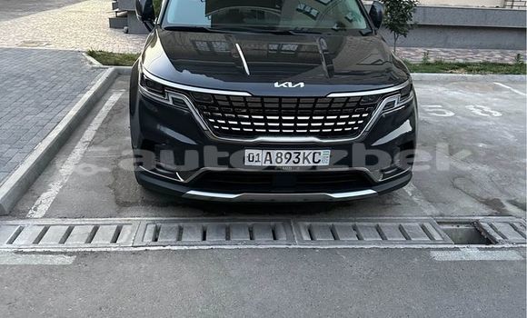 Buy Used Kia Carnival Black Car in Asaka in Andijon