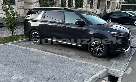 Buy Used Kia Carnival Black Car in Asaka in Andijon Buy Used Kia Carnival Black Car in Asaka in Andijon