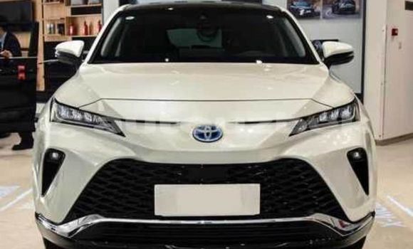 Buy Used Toyota Venza White Car in Asaka in Andijon Buy Used Toyota Venza White Car in Asaka in Andijon