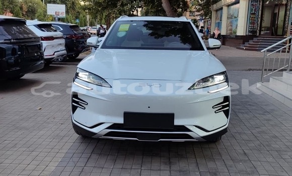Buy Used BYD Flyer White Car in Asaka in Andijon Buy Used BYD Flyer White Car in Asaka in Andijon