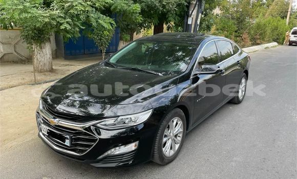 Buy Used Chevrolet Malibu Black Car in Avval in Fargona