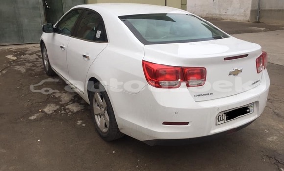 Buy Used Chevrolet Malibu White Car in Asaka in Andijon Buy Used Chevrolet Malibu White Car in Asaka in Andijon