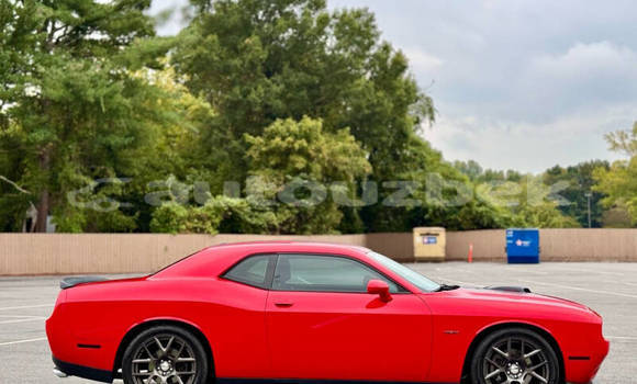 Buy Used Dodge Challenger Red Car in Beskent in Kaskadar Buy Used Dodge Challenger Red Car in Beskent in Kaskadar