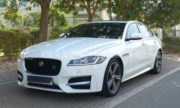 Buy Used Jaguar XF White Car in Tashkent in Toskent