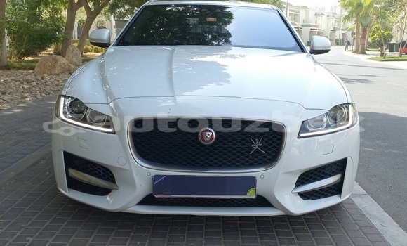 Buy Used Jaguar XF White Car in Tashkent in Toskent Buy Used Jaguar XF White Car in Tashkent in Toskent