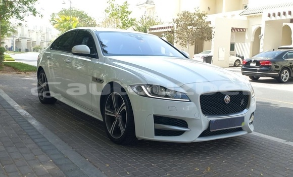Buy Used Jaguar XF White Car in Tashkent in Toskent Buy Used Jaguar XF White Car in Tashkent in Toskent