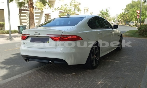 Buy Used Jaguar XF White Car in Tashkent in Toskent Buy Used Jaguar XF White Car in Tashkent in Toskent