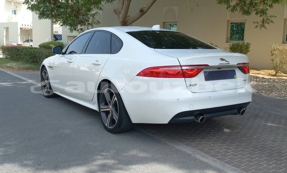 Buy Used Jaguar XF White Car in Tashkent in Toskent Buy Used Jaguar XF White Car in Tashkent in Toskent