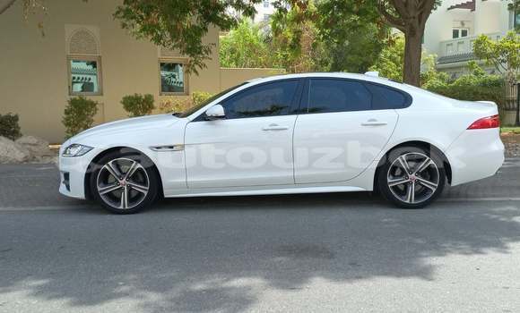 Buy Used Jaguar XF White Car in Tashkent in Toskent Buy Used Jaguar XF White Car in Tashkent in Toskent