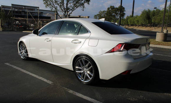 Buy Used Lexus IS Red Car in Buka in Toskent Buy Used Lexus IS Red Car in Buka in Toskent