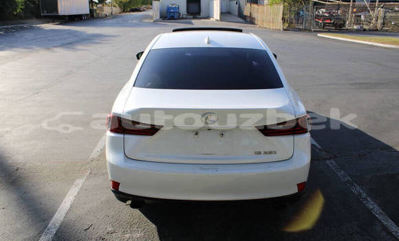 Buy Used Lexus IS Red Car in Buka in Toskent Buy Used Lexus IS Red Car in Buka in Toskent