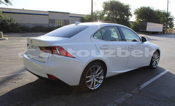 Buy Used Lexus IS Red Car in Buka in Toskent Buy Used Lexus IS Red Car in Buka in Toskent