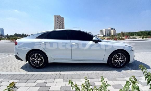 Buy Used Kia K5 White Car in Rapkan in Fargona Buy Used Kia K5 White Car in Rapkan in Fargona