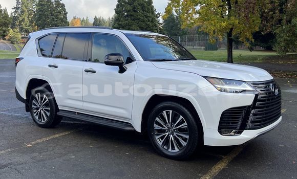 Buy Used Lexus LX White Car in Almazar in Toskent
