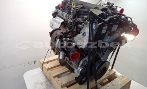 Buy Ford Ranger 3.2L Engine in Tashkent in Toskent Buy Ford Ranger 3.2L Engine in Tashkent in Toskent