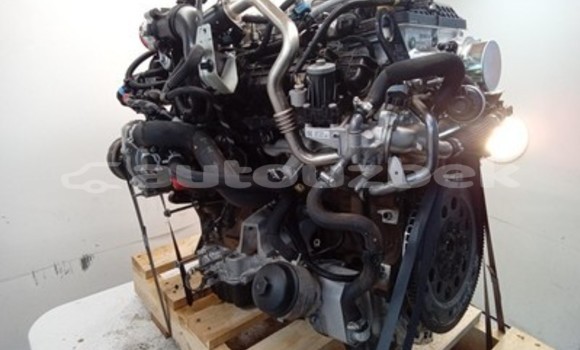 Buy Ford Ranger 3.2L Engine in Tashkent in Toskent Buy Ford Ranger 3.2L Engine in Tashkent in Toskent