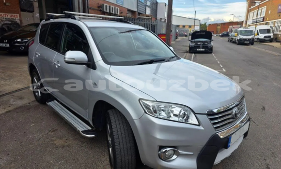 Buy Used Toyota RAV4 White Car in Tashkent in Toskent