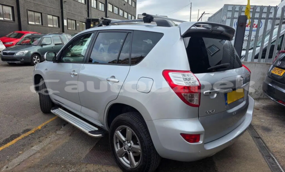 Buy Used Toyota RAV4 White Car in Tashkent in Toskent Buy Used Toyota RAV4 White Car in Tashkent in Toskent