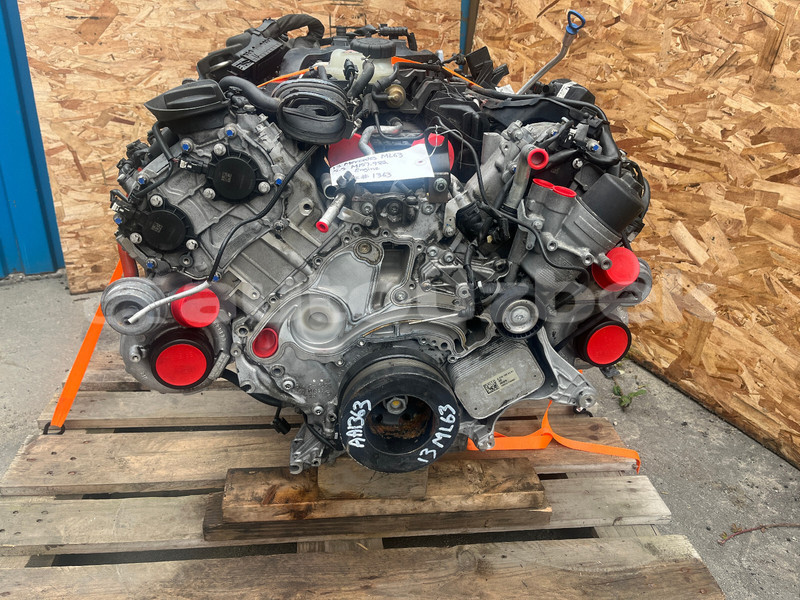 Big with watermark b