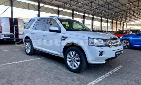 Buy Used Land Rover Freelander White Car in Tashkent in Toskent