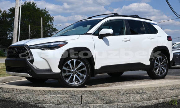 Buy Used Toyota Corolla Cross White Car in Tashkent in Toskent