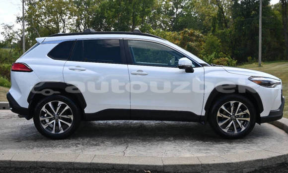 Buy Used Toyota Corolla Cross White Car in Tashkent in Toskent Buy Used Toyota Corolla Cross White Car in Tashkent in Toskent