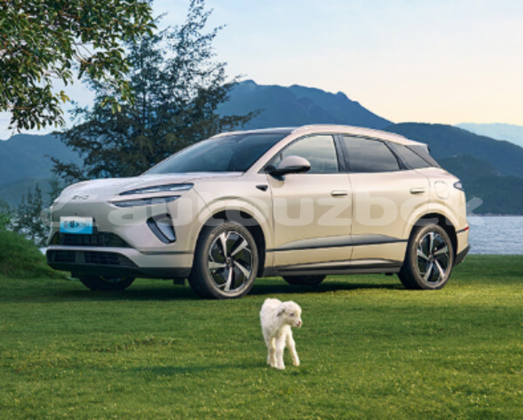 Big with watermark byd s6 toskent gazalkent 4581