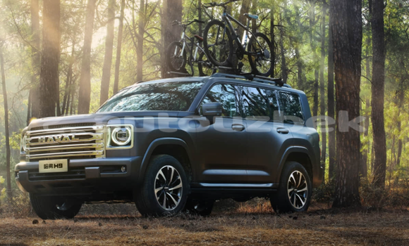 Buy New Haval H9 White Car in Cartak in Namangan Buy New Haval H9 White Car in Cartak in Namangan