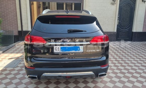 Buy Used Haval H6 Black Car in Tashkent in Toskent Buy Used Haval H6 Black Car in Tashkent in Toskent