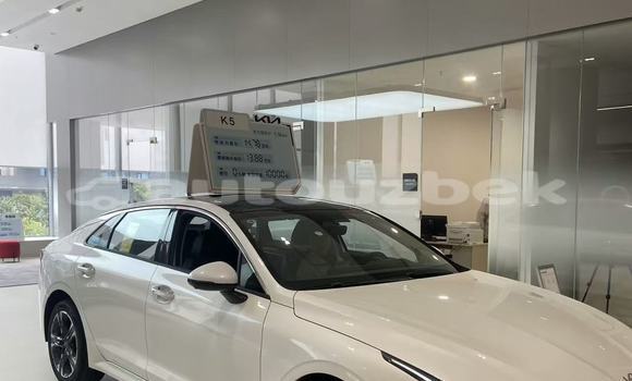 Buy New Kia K5 White Car in Yanikurgon in Namangan Buy New Kia K5 White Car in Yanikurgon in Namangan