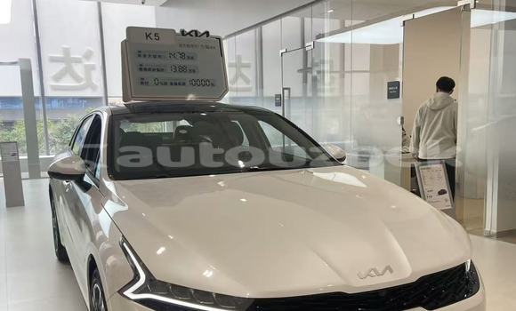 Buy New Kia K5 White Car in Yanikurgon in Namangan Buy New Kia K5 White Car in Yanikurgon in Namangan