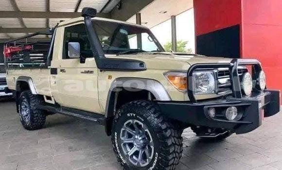 Buy Used Toyota Land Cruiser Beige Car in Tashkent in Toskent