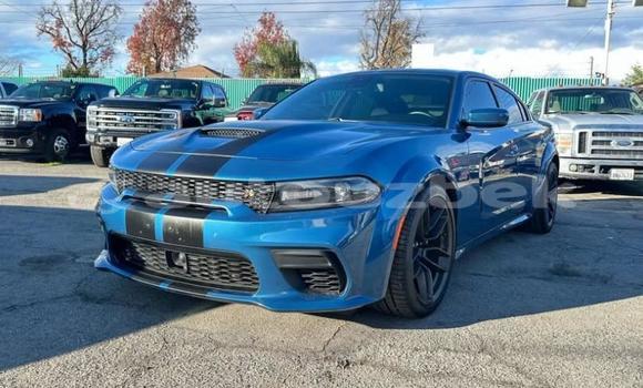 Buy Used Dodge Charger Blue Car in Tashkent in Toskent