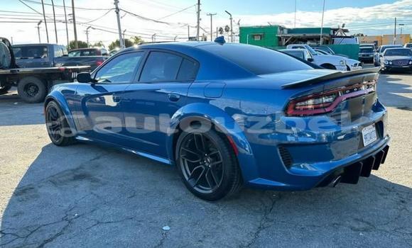 Buy Used Dodge Charger Blue Car in Tashkent in Toskent Buy Used Dodge Charger Blue Car in Tashkent in Toskent