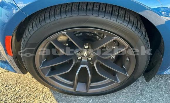 Buy Used Dodge Charger Blue Car in Tashkent in Toskent Buy Used Dodge Charger Blue Car in Tashkent in Toskent