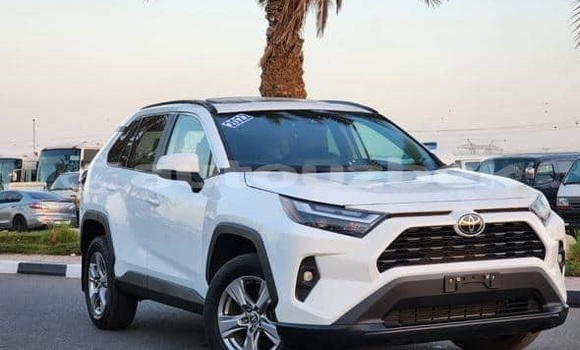 Buy Used Toyota RAV4 White Car in Besarik in Fargona