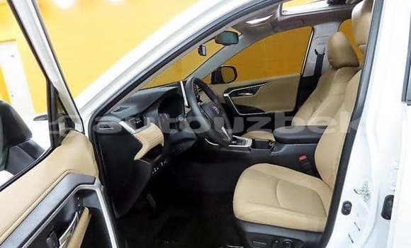 Buy Used Toyota RAV4 White Car in Besarik in Fargona Buy Used Toyota RAV4 White Car in Besarik in Fargona