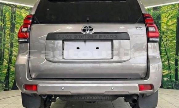 Buy Used Toyota Land Cruiser Prado Black Car in Tashkent in Toskent Buy Used Toyota Land Cruiser Prado Black Car in Tashkent in Toskent