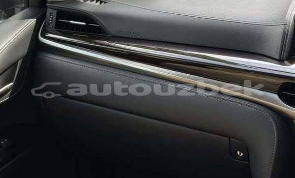 Buy Used Lexus LX 570 White Car in Namangan in Namangan Buy Used Lexus LX 570 White Car in Namangan in Namangan