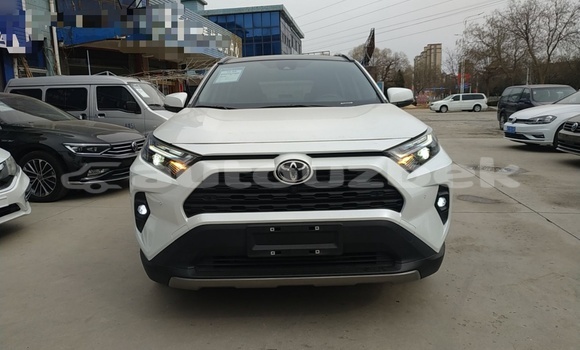 Buy Used Toyota RAV4 White Car in Tashkent in Toskent