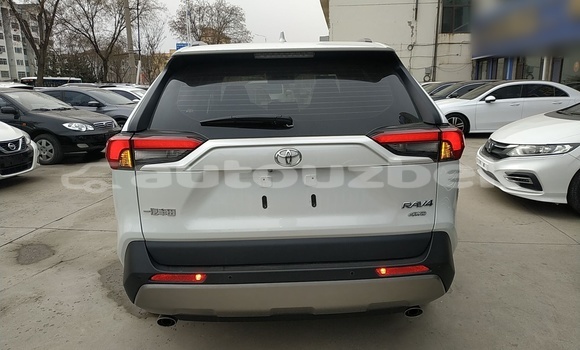 Buy Used Toyota RAV4 White Car in Tashkent in Toskent Buy Used Toyota RAV4 White Car in Tashkent in Toskent