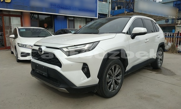Buy Used Toyota RAV4 White Car in Tashkent in Toskent Buy Used Toyota RAV4 White Car in Tashkent in Toskent