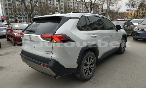 Buy Used Toyota RAV4 White Car in Tashkent in Toskent Buy Used Toyota RAV4 White Car in Tashkent in Toskent