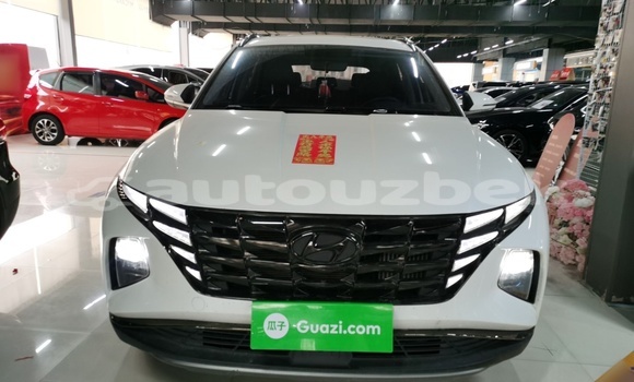 Buy Used Hyundai Tucson White Car in Tashkent in Toskent