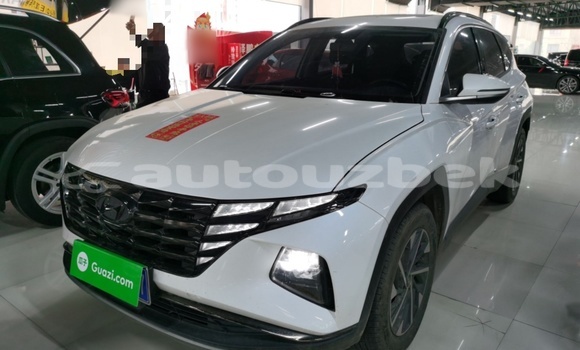 Buy Used Hyundai Tucson White Car in Tashkent in Toskent Buy Used Hyundai Tucson White Car in Tashkent in Toskent