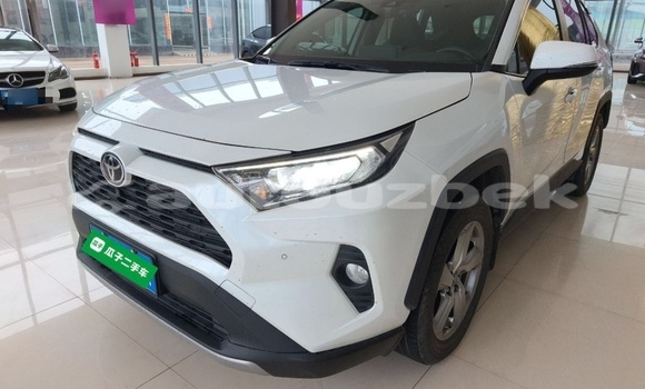 Buy Used Toyota RAV4 White Car in Tashkent in Toskent Buy Used Toyota RAV4 White Car in Tashkent in Toskent